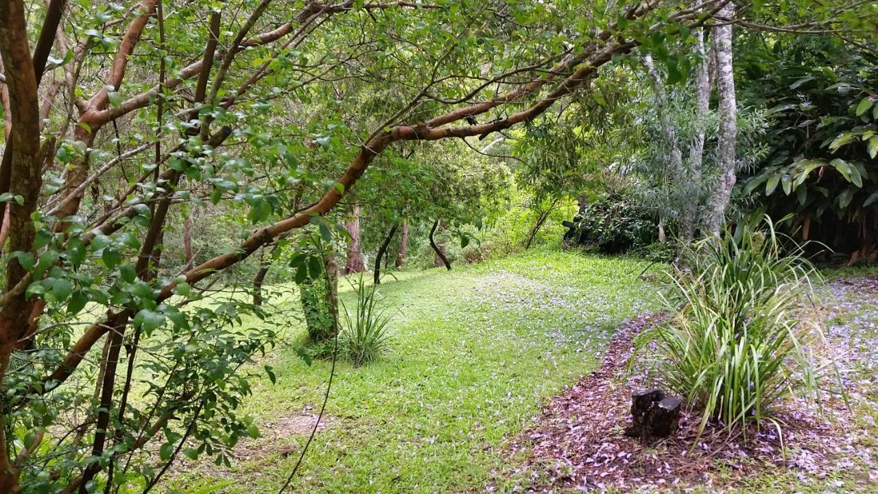 Forest View Bungalow Nambucca Heads Exterior foto
