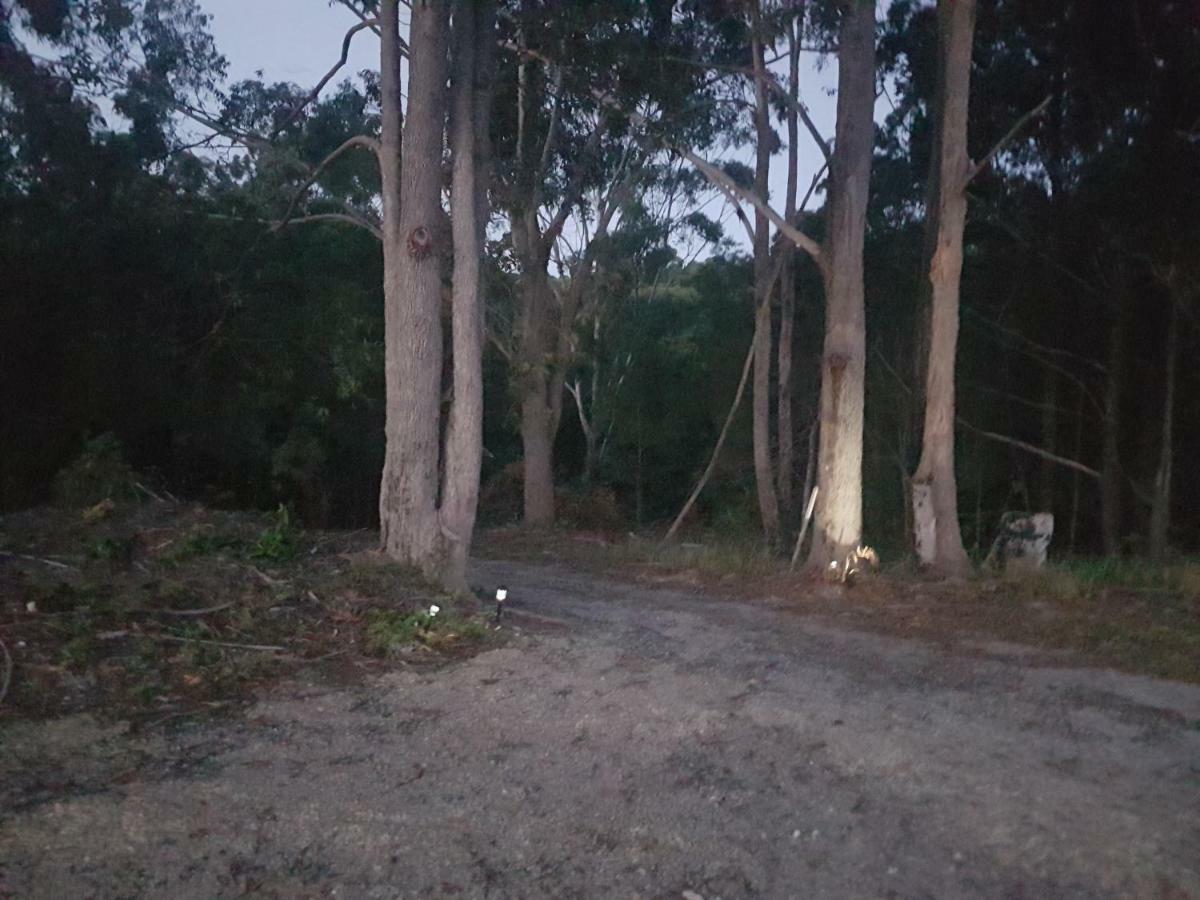 Forest View Bungalow Nambucca Heads Exterior foto